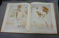 Michael Parkes: Drawings and Stone Lithographs