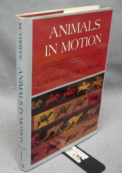 Animals in Motion(Eadweard Muybridge) / 古本、中古本、古書籍