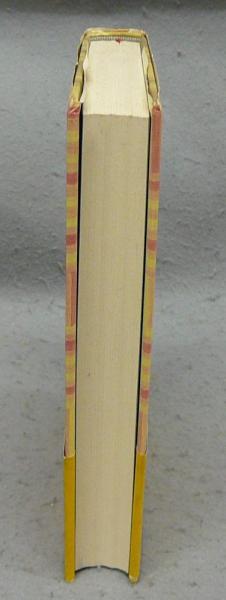 ロッキーリッジの小さな家シリーズ全巻 ロッキーリッジの小さな家 (新大草原の小さな家 1) | ロジャー
