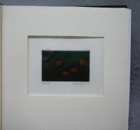 hamaguchi's color mezzotints　オリジナル銅版画一葉付