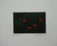 hamaguchi's color mezzotints　オリジナル銅版画一葉付
