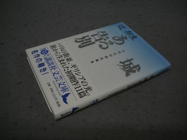 辻邦生全集 全20巻揃い