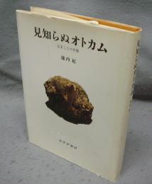 見知らぬオトカム　辻まことの肖像