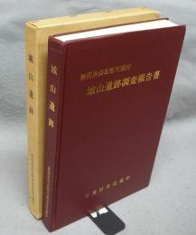 静岡県浜名郡可美村　城山遺跡調査報告書