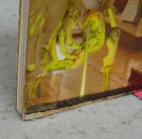 ヨーロッパのおもしろい博物館　table book
