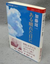 ある晴れた日に　岩波現代文庫　文芸155