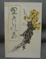 野菊の墓　新選　名著複刻全集　近代文学館