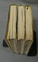 春の野草/夏の野草/秋の野草　3冊セット　山渓フィールドブック1～3　