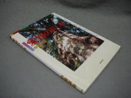 愛知の巨木　Giant Trees of Aichi pref.