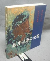 藤井達吉の全貌　野に咲く工芸　宙を見る絵画（図録）