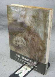 風船乗りの少年