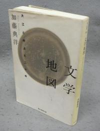 文学地図　大江と村上と二十年　朝日選書850