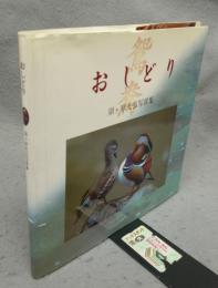 おしどり　須ケ原光弘写真集