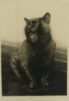 筧忠治　『猫（12）』　エッチング