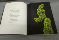 Kim Simonsson: Tales of the Moss People