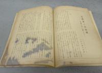 黄蜂　創刊号