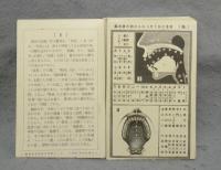 英語発音練習カード