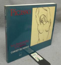 Picasso Les Demoiselles d'Avignon: Carnet de Dessins