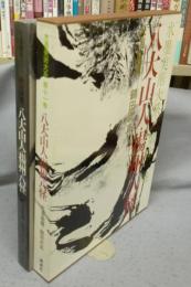 水墨美術大系　第11巻　八大山人・揚州八怪