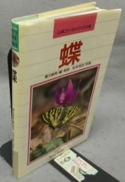 蝶　山渓フィールドブックス11