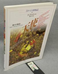 天使　神々の使者　イメージの博物誌31