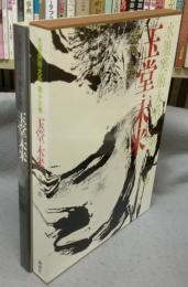水墨美術大系　第13巻　玉堂・木米