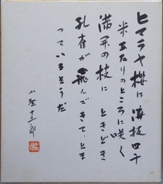 小野十三郎色紙「ヒマラヤ桜」