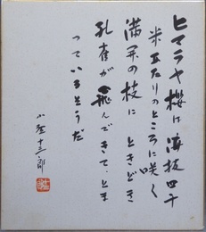 小野十三郎色紙「ヒマラヤ桜」