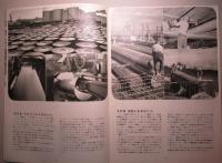 住友金属 製品ニュース No.10