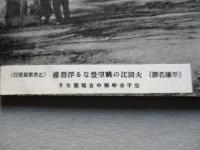 絵葉書 (平壌名勝) 大同江の眺望豊なる浮碧樓