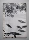 近代水産 20号
