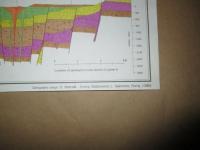 CARTA GEOLOGICA E GRAVIMETRICA DEI CAMPI FLEGREI  1:15000