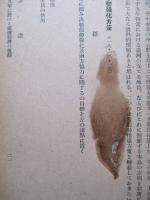 臺灣經濟年報 昭和十九年版