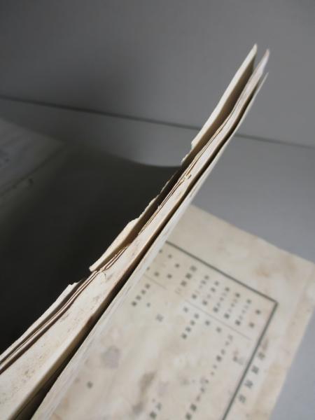 激安通販の 明治二十七八年役陸軍衞生事蹟 第四巻 戦傷(下) 第二編:銃創、第 政治学