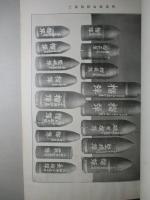 明治三十七八年戦役陸軍衞生史 第三巻 戦傷(第一冊)