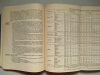 Der Deutschnationale Handlungs Gehilfen-Verband im Jahr 1928