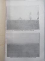 WAR,JAPAN AND RUSSIA No.29 (1904.9.5)
