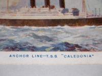 絵葉書 T.S.S. "CALEDONIA"