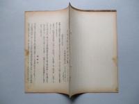 恐怖攻撃を伴わぬ空襲