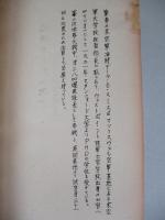 操縦機か無人機か (人間操縦機の将来性)