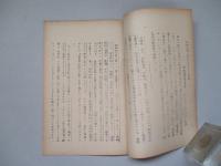 戦略空軍の将来に対する一考察