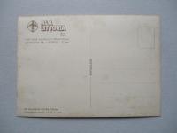 絵葉書 Idrovolamte rapido CANT Z.506