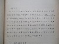 米国鉄鋼業における独占の問題
