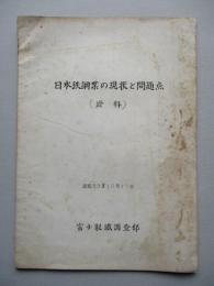 日本鉄鋼業の現状と問題点 (資料)