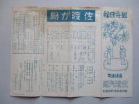 観光日程