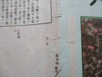 立山連峯 大観
