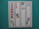 茶花植物図鑑