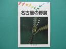名古屋の野鳥