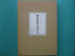 定本　愛知県の円空仏