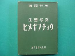 ヒメギフチョウ : 生態写真